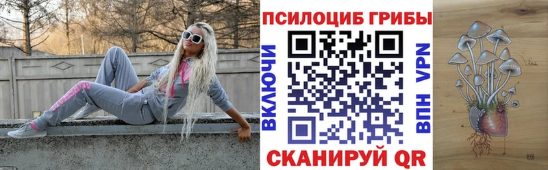 Купить  Демидов  Псилоцибиновые грибы мицелий 